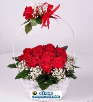 Beyaz sepette kırmızı güller çiçekçi
