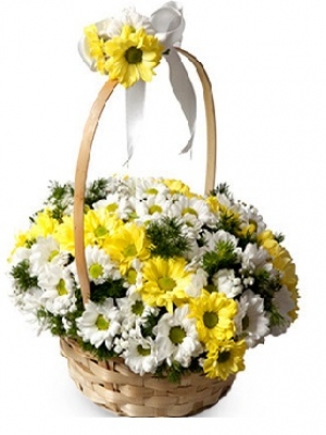 Sepette sarı papatyalar çiçek yolla