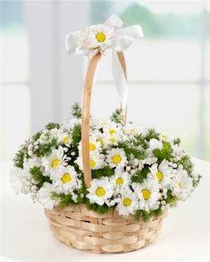 Sepette beyaz papatyalar çiçek gönder